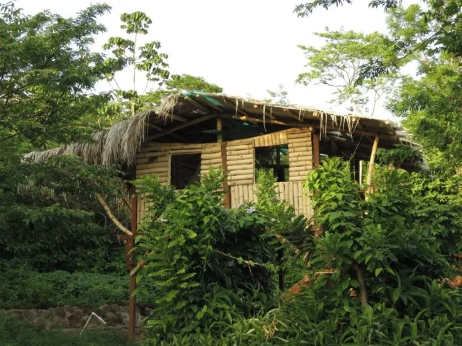 1 Bedroom Chalet