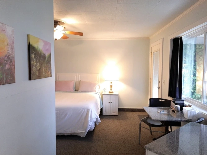 Junior Suite with balcony and with garden view