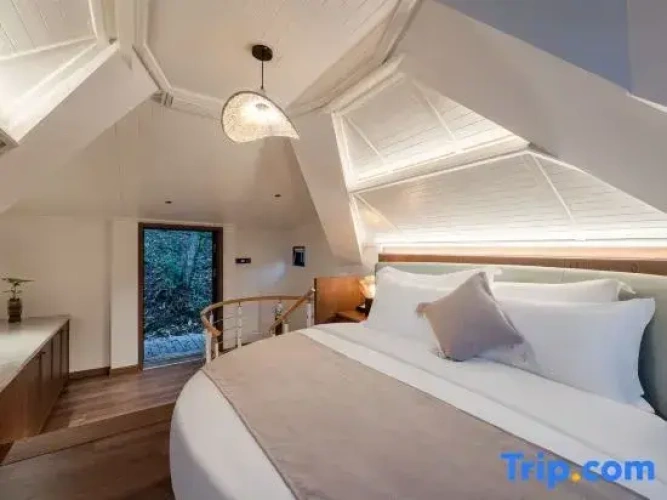 Duplex Suite