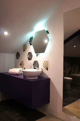 Suculenta Boutique