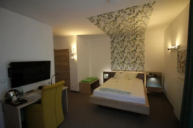 Superior Single room