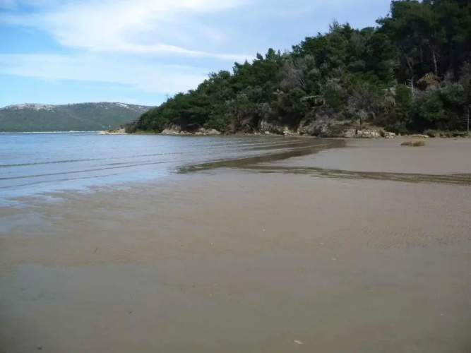 Apartments in Lopar - Insel Rab 26467