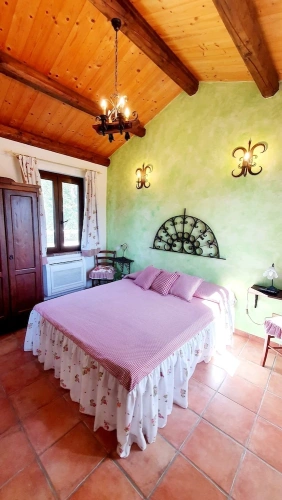 Comfort Apartment