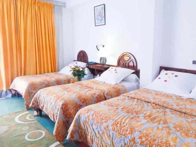 Standard Double room with balcony and with garden view