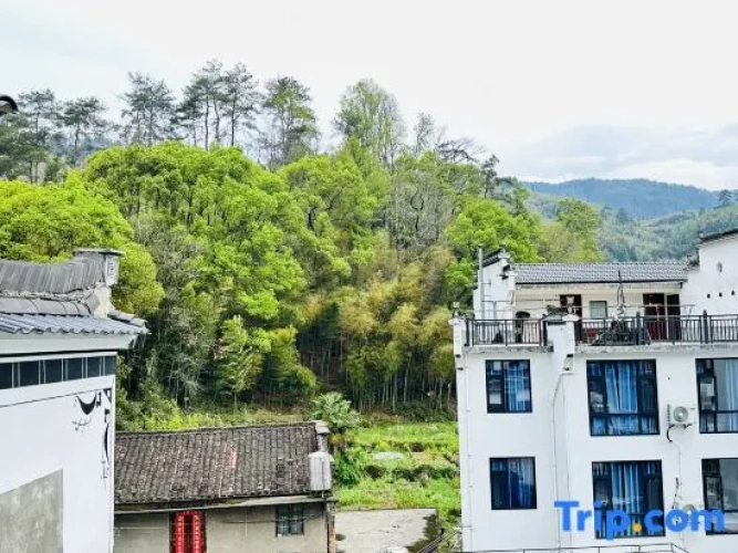 Linyun Xiaozhu Homestay