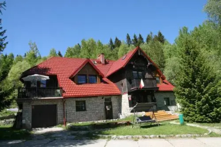 Czajka
