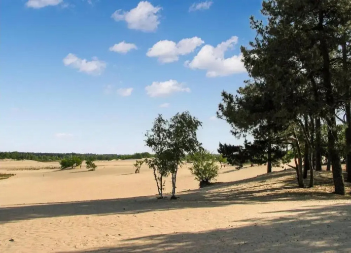 Chalet Near Loonse and Drunense Duinen
