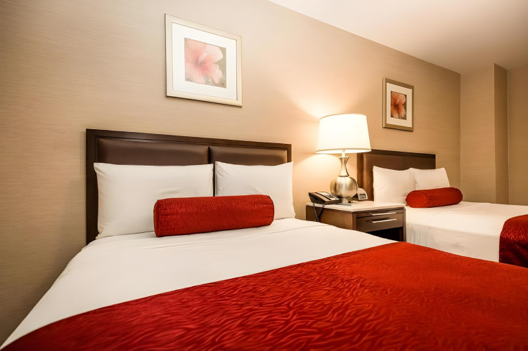The Belvedere Hotel photo 7