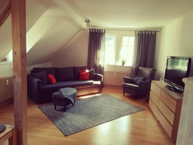 1 Bedroom Apartment