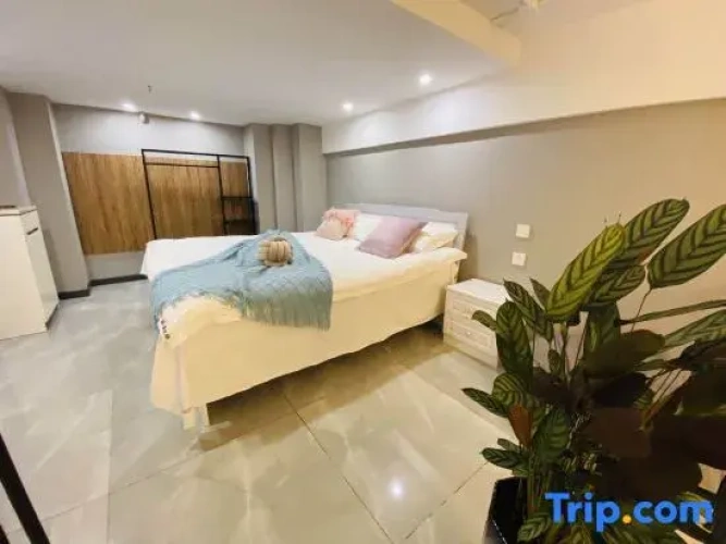 Double Apartment