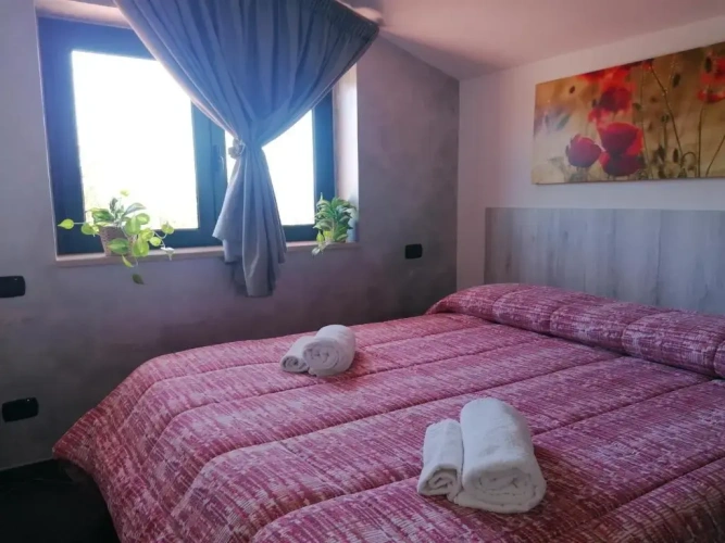 Standard Single room with garden view