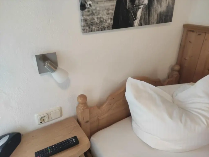 Standard Single room with garden view