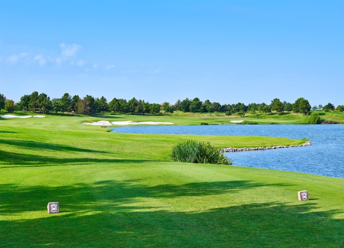 The Westin Stonebriar Hotel & Golf Club photo 16