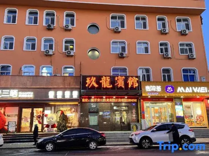 Wuchang Jiulong Hotel