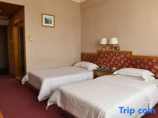 Standard Twin Suite