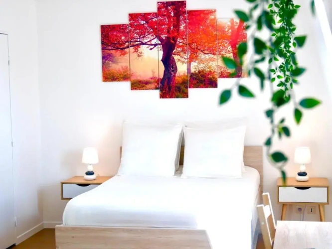 1 Bedroom Apartment