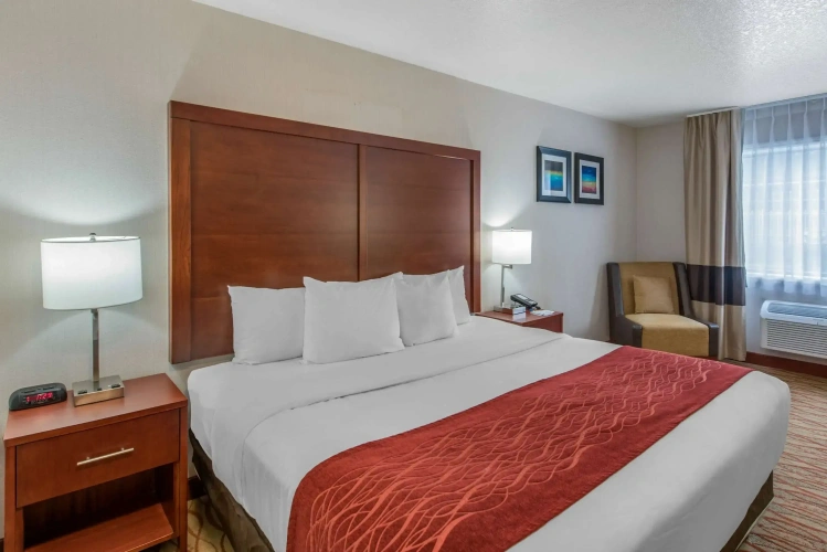 Standard Double room
