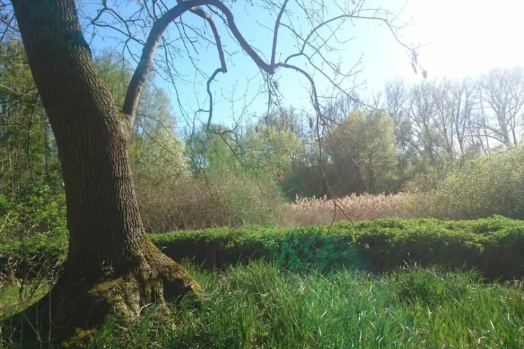 Sonniges Häuschen mit Garten