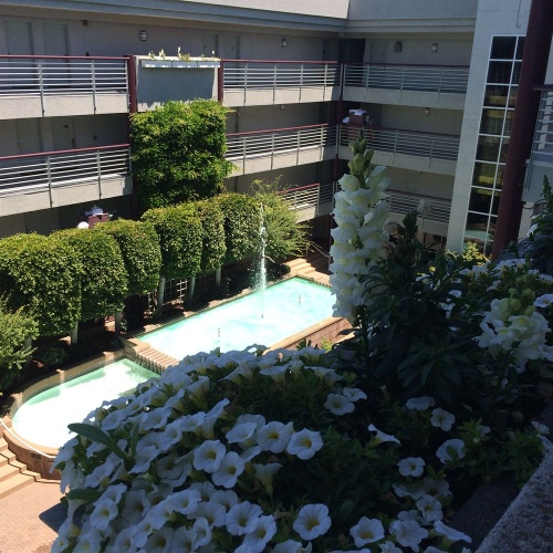 Cupertino Hotel photo 30