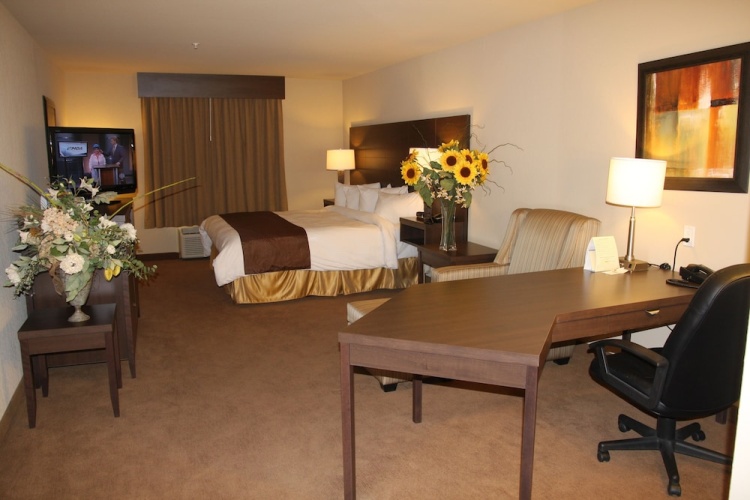 Best Western Plus Saint John Hotel & Suites photo 20