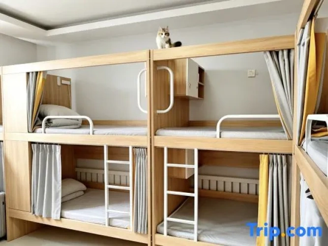Bed in Dorm (male dorm)