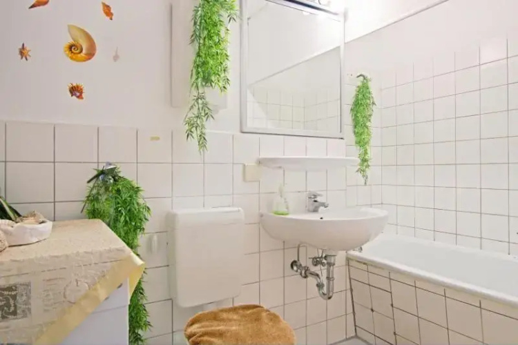 Id 4615 | Private Apartment