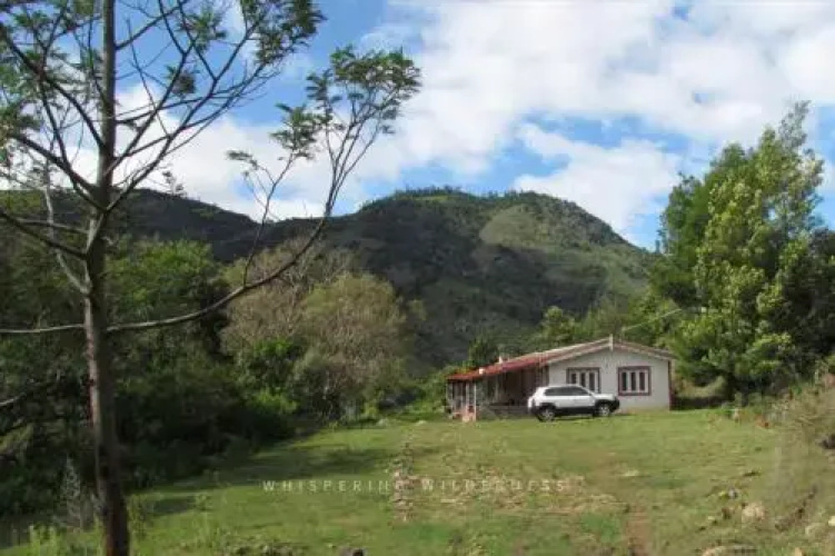 Hotel Whispering Wilderness - Sholur