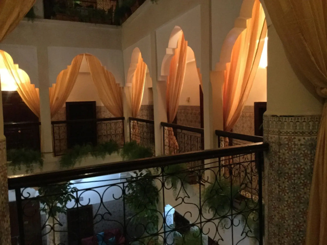Abélia Riad