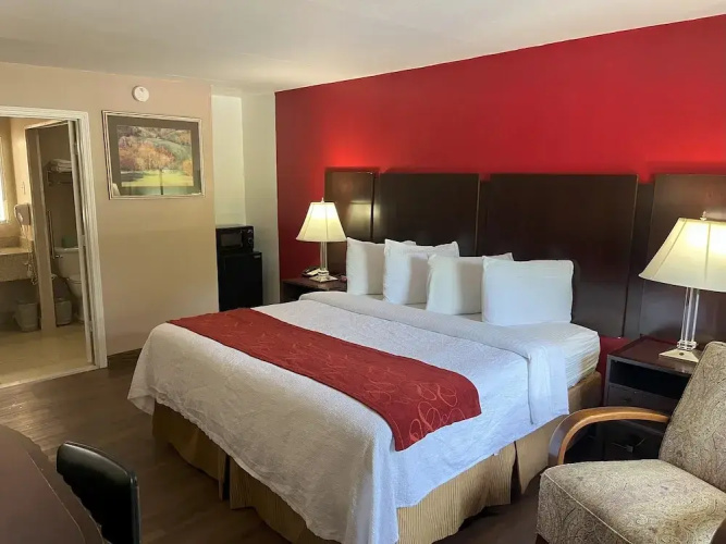 Pine Tree Inn