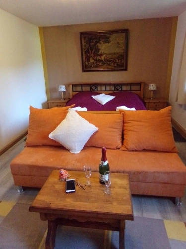 Classic Double room with garden view