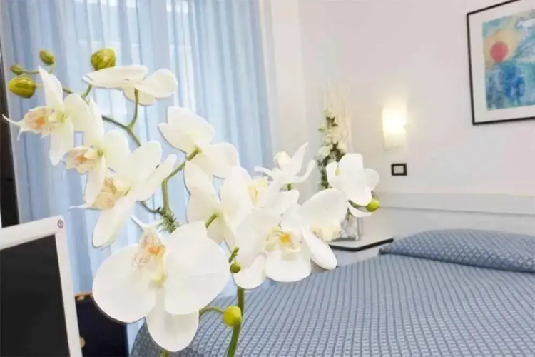 Hotel Elite