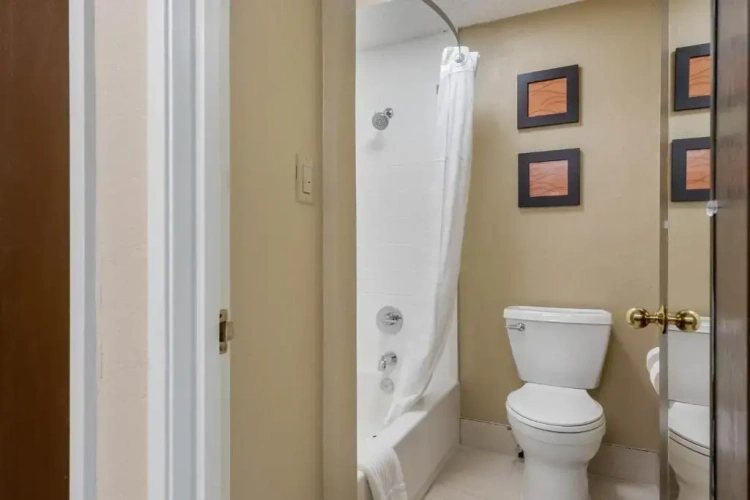 Single Suite
