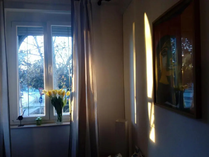 Apartment Optimist/City Break