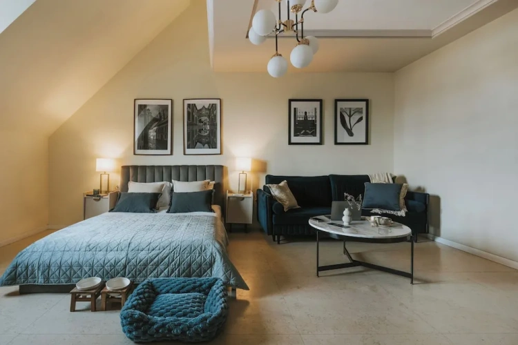 Superior Apartment