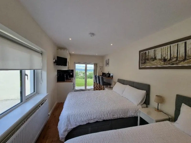 1 Bedroom Deluxe Triple room