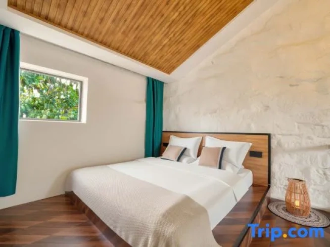 Double Apartment