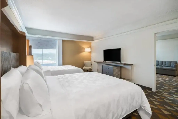 Twin Suite