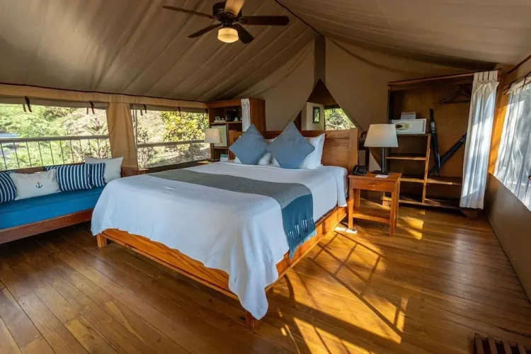 Quadruple Tent Suite