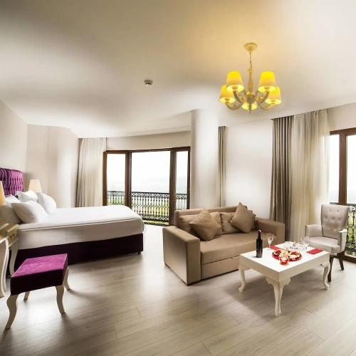 Superior room