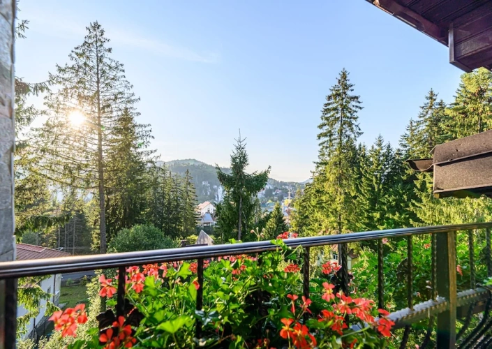 Standard Double room with balcony