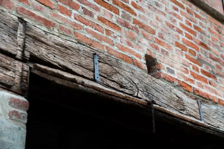 Domus Acaja