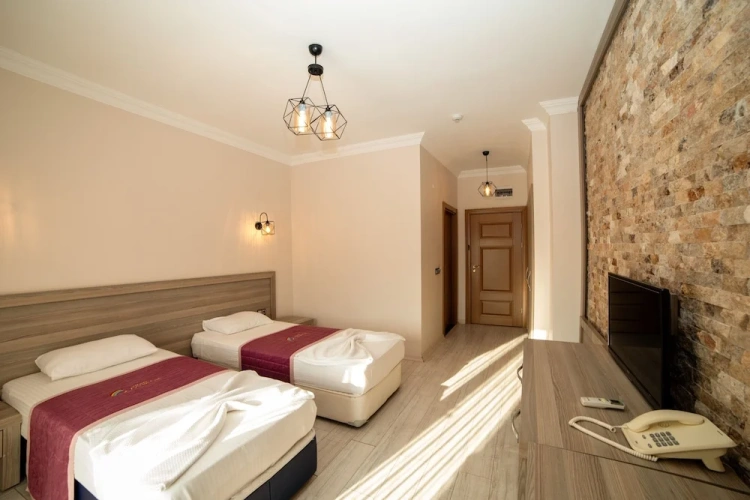 Standard Twin room with balcony and with garden view