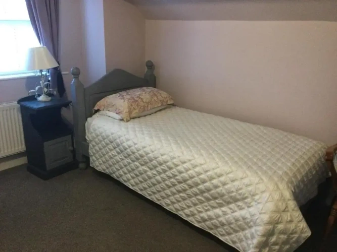 Standard Twin room with garden view