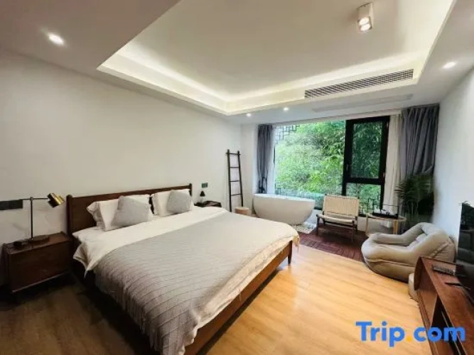 Standard Double room with river view