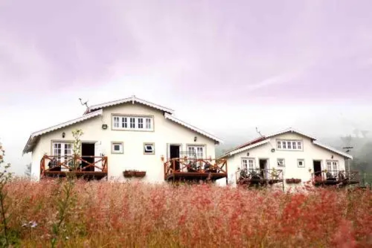 Realm Resorts