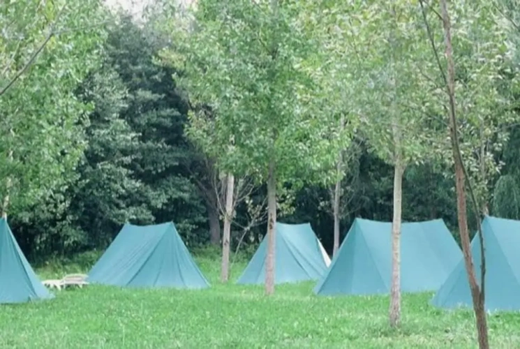 Tent