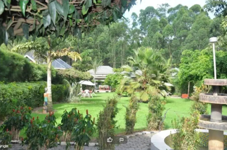 Jt Cottages