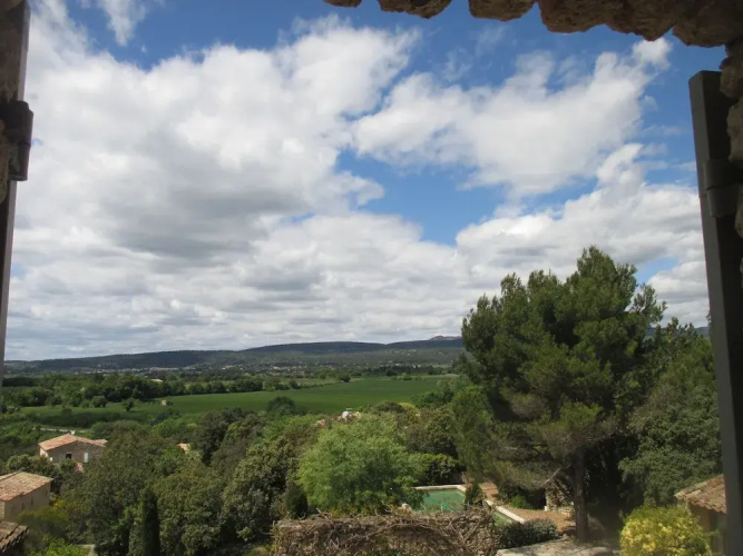 Bacchus en Luberon