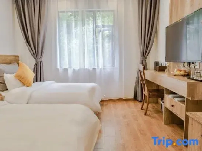 Deluxe Twin room with mountain view