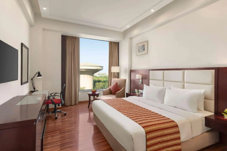 Business Double room